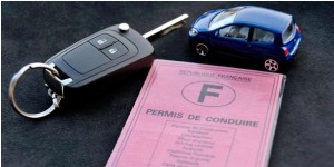 permis-entreprise